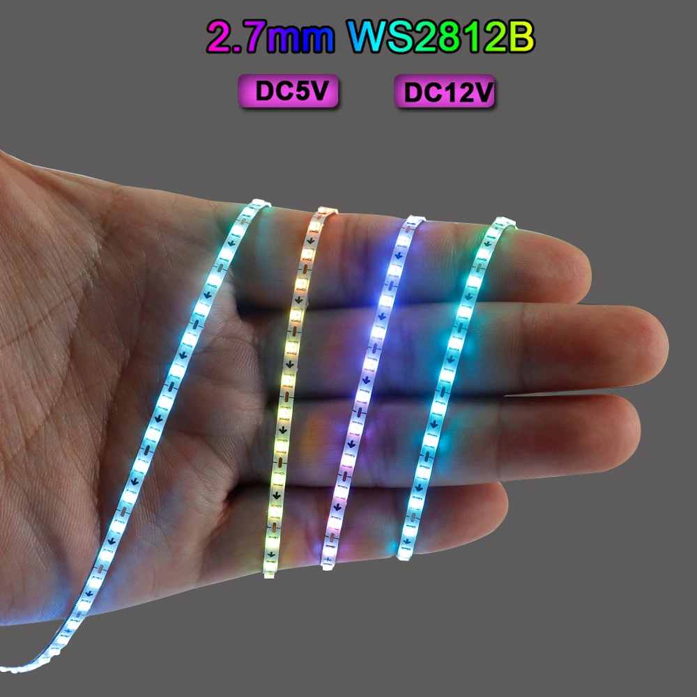 2.7 مللي متر WS2812B LED قطاع ضيق للغاية 160 المصابيح/م شريط إضاءة RGBIC قابل للعنونة بشكل فردي Dreamcolor DC5V/12V