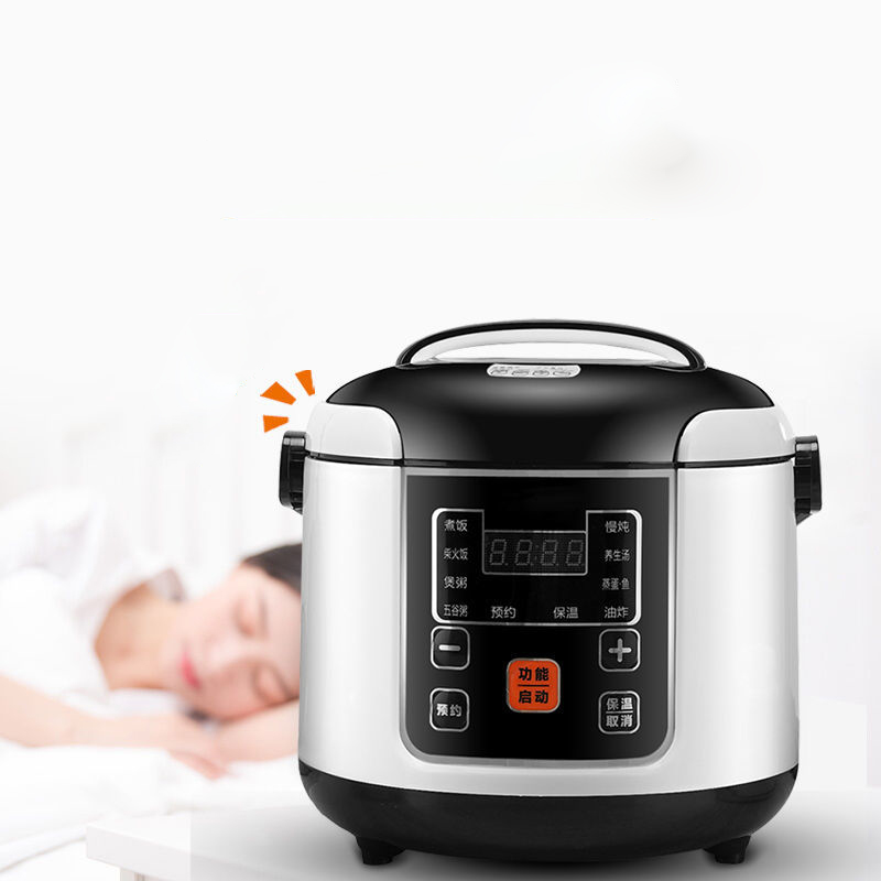 مطبخ أرز كهربائي صغير 110V